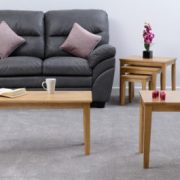 LOGAN-WITH-CAPRI-300-308-040-300-302-033-300-303-030-300-301-041-400×265